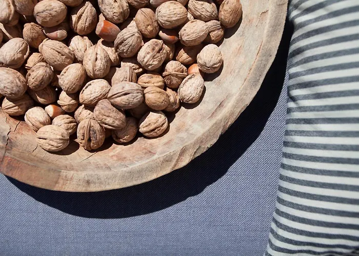 Br By Rent Istria Radetici